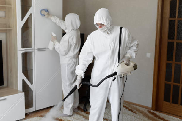 Trusted Sewage Cleanup service in Grand Haven, MI - Four Month Blood Cleanse